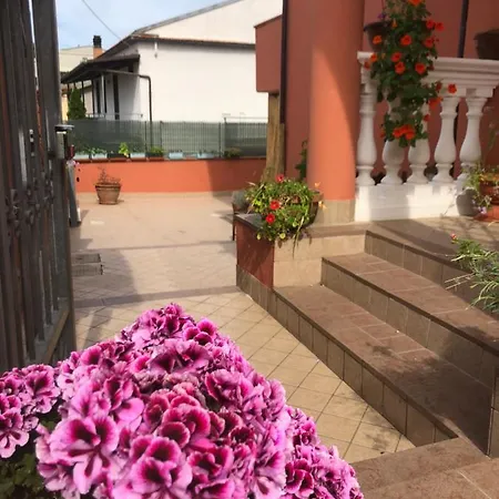 Guest house Elena *